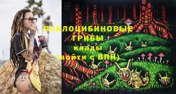 mix Абаза
