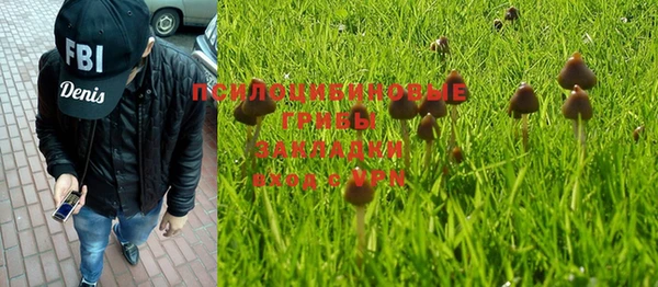 амф Абинск