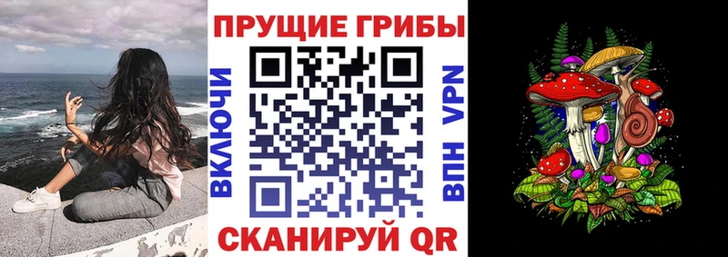 Псилоцибиновые грибы Magic Shrooms  Комсомольск-на-Амуре 